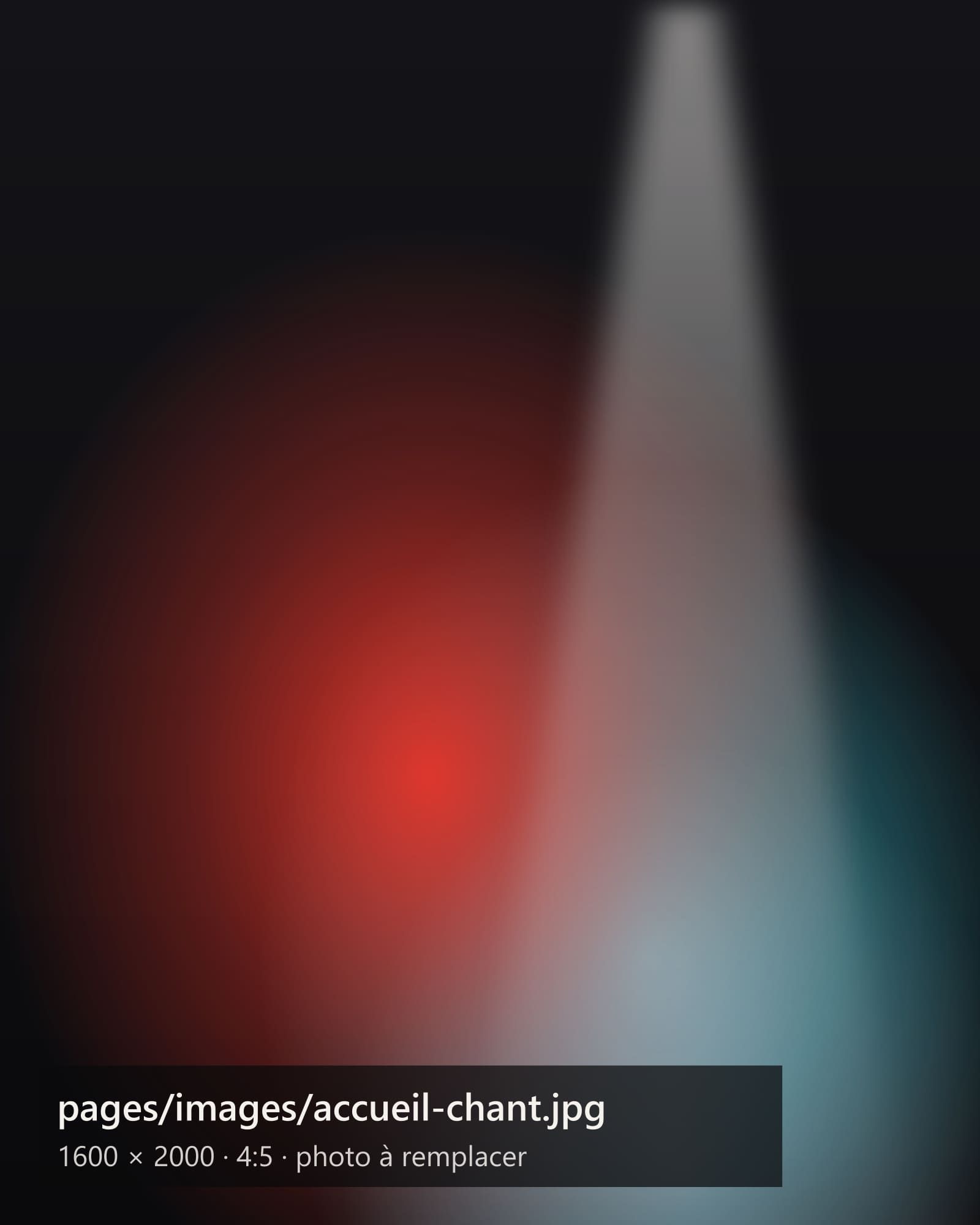 Image provisoire pour la rubrique Chant
