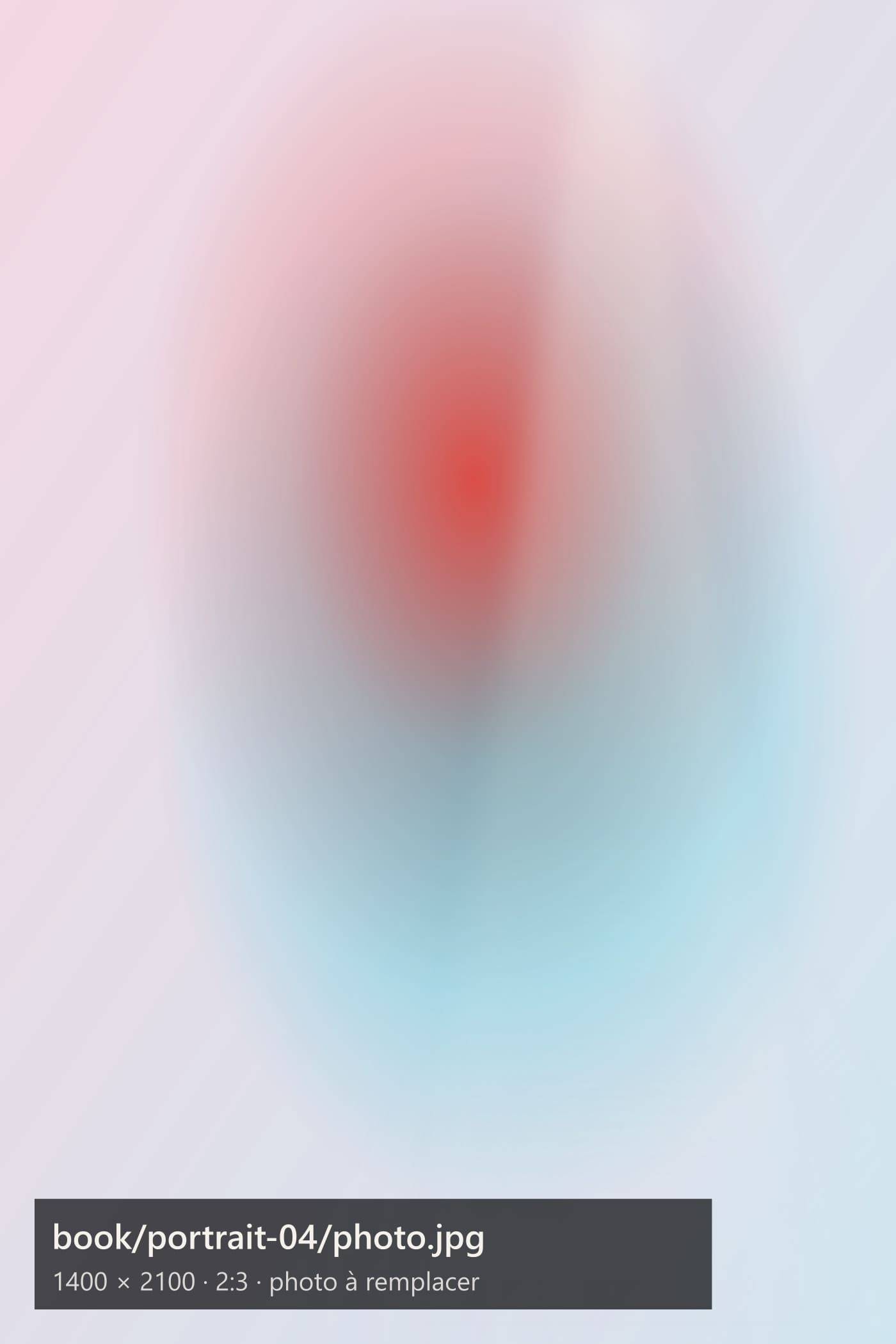 Image provisoire, portrait 4