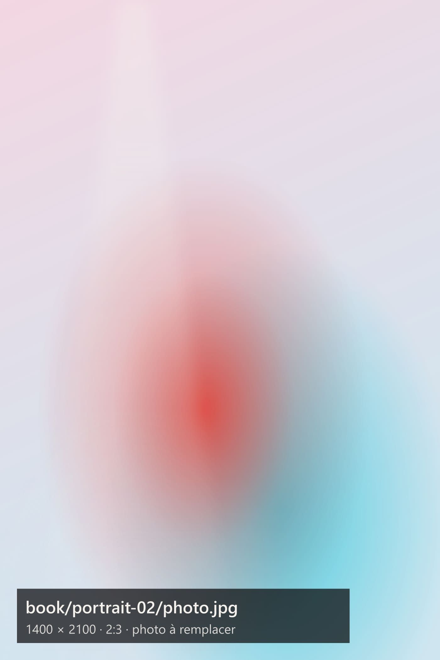 Image provisoire, portrait 2